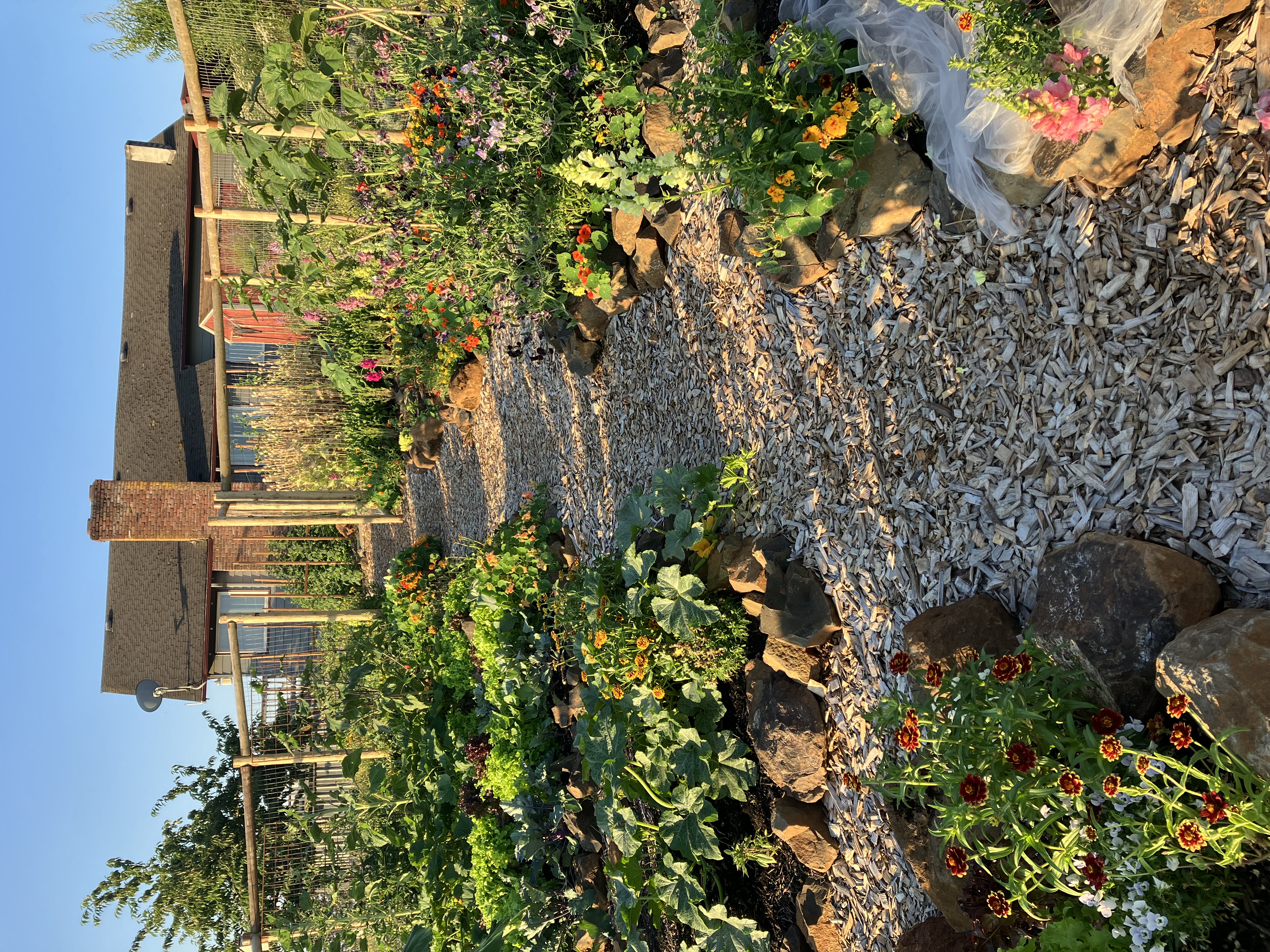 Vegetable & Flower Garden