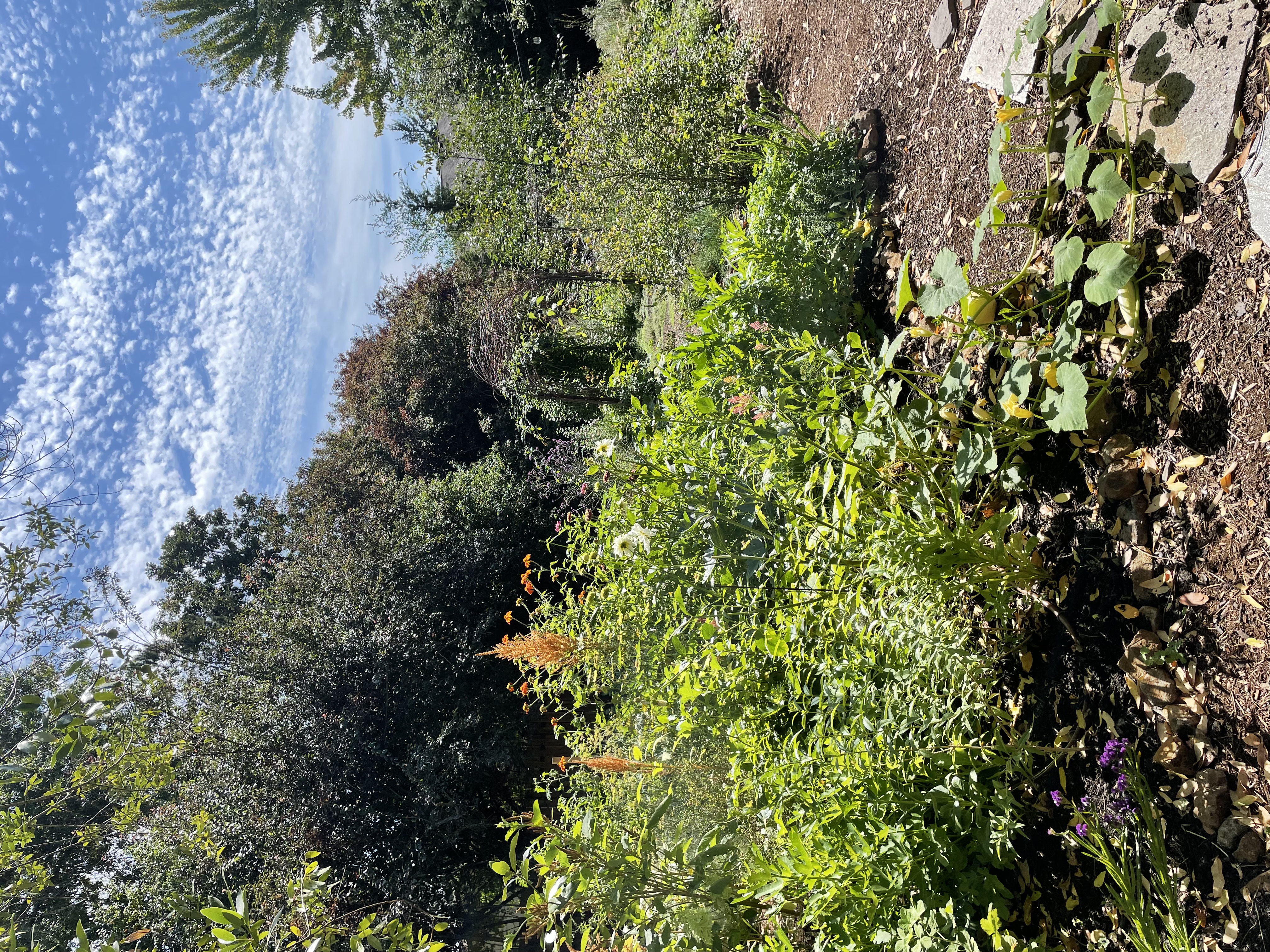 Natural Garden Design